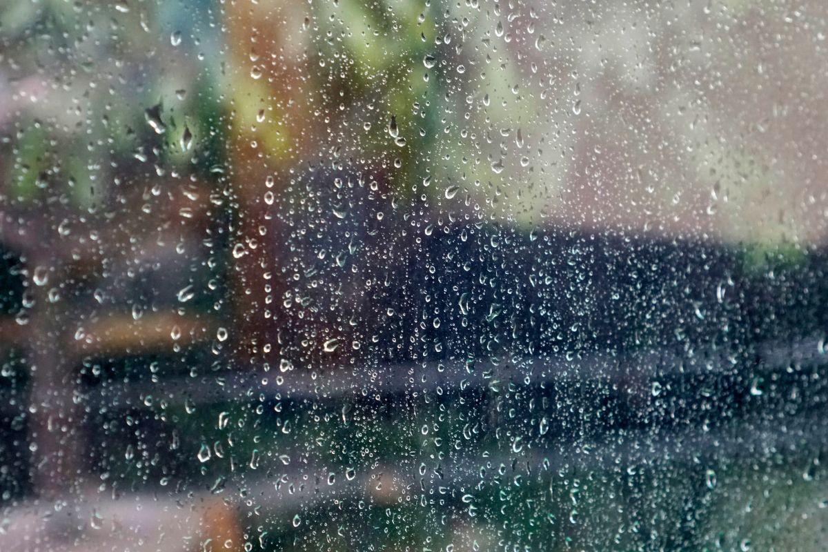 Is Rainwater Good for Cleaning Windows? The Ultimate Guide